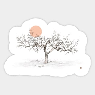 Almond Tree in the Sunset Sticker